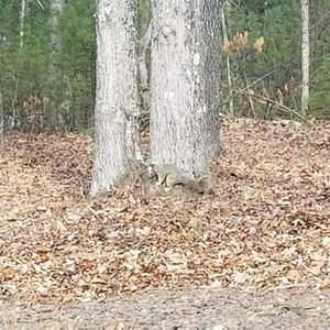 Meet your Posher, Eddie